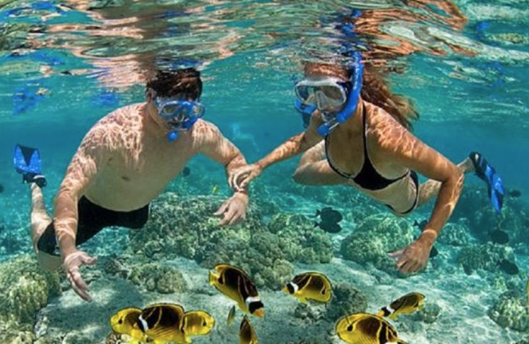 Best Beaches For Snorkeling In Puerto Rico Puerto Nuevo Beach