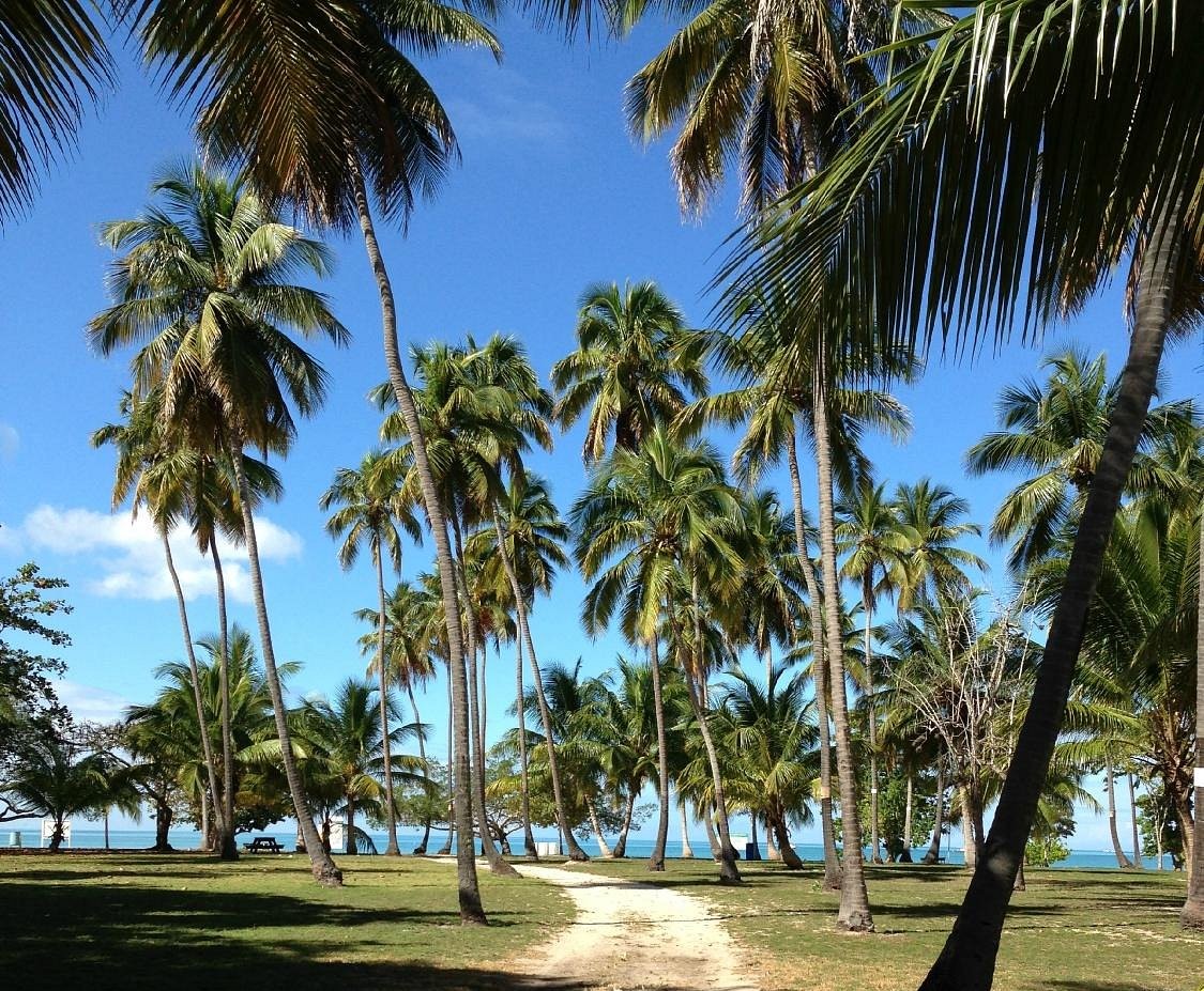 Boqueron Beach Cabo Rojo Puerto Rico Road To Beach