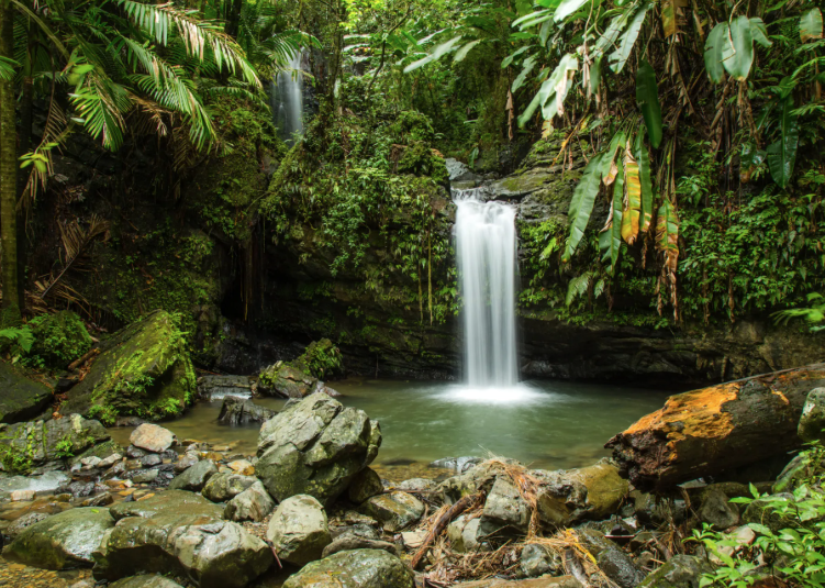 Can You Visit El Yunque On A Cruise Stop