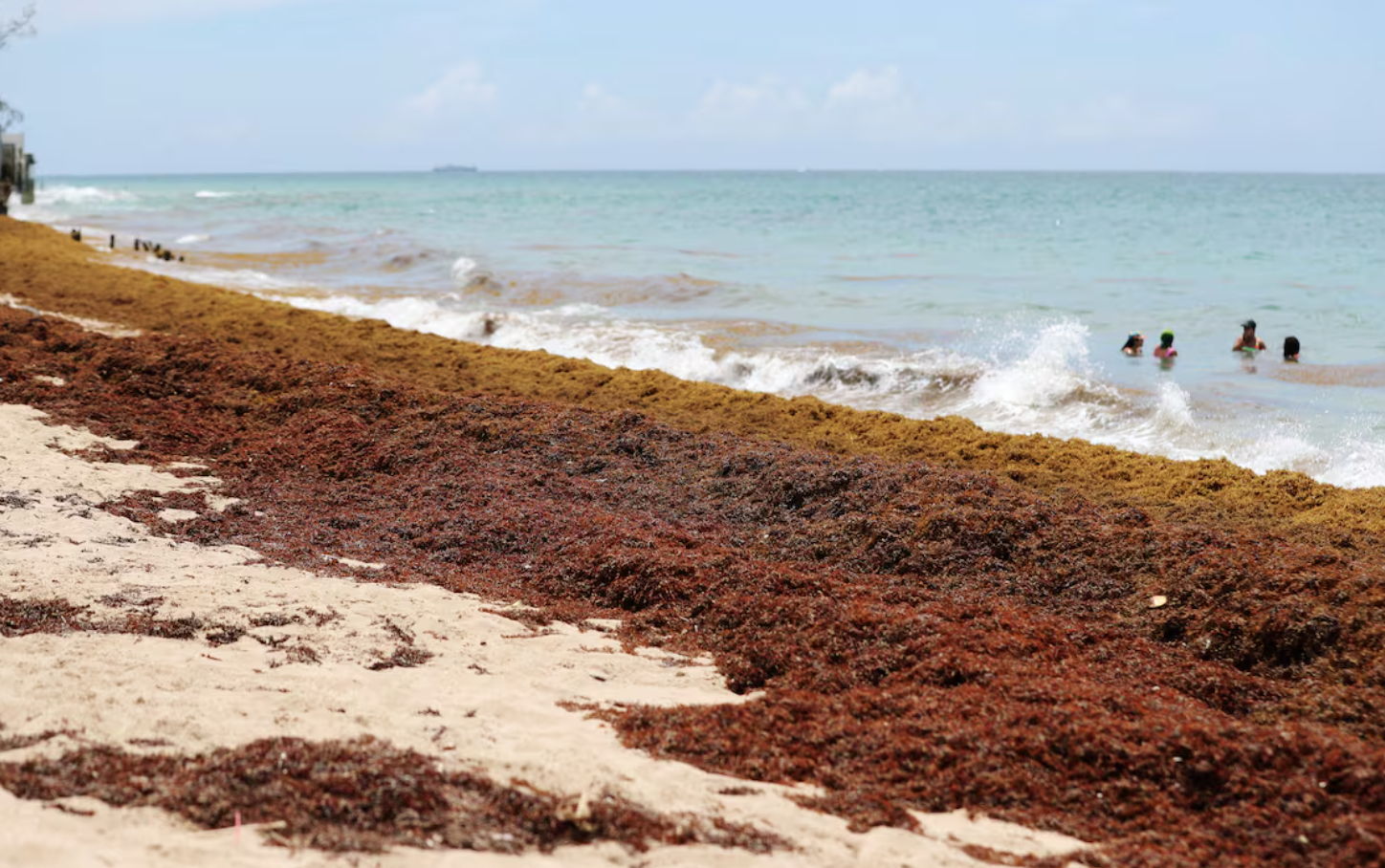 When Is the Best Time to Visit Puerto Rico and Avoid the Sargassum?