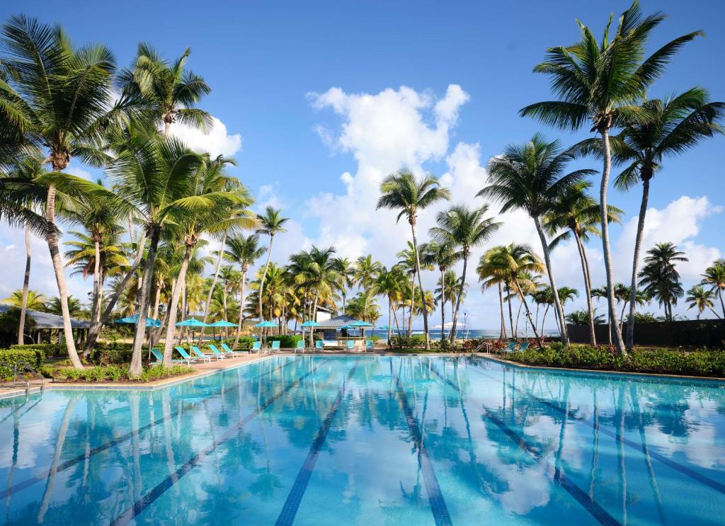 Hyatt Vacation Club Puerto Nuevo Beach Vega Baja Pool